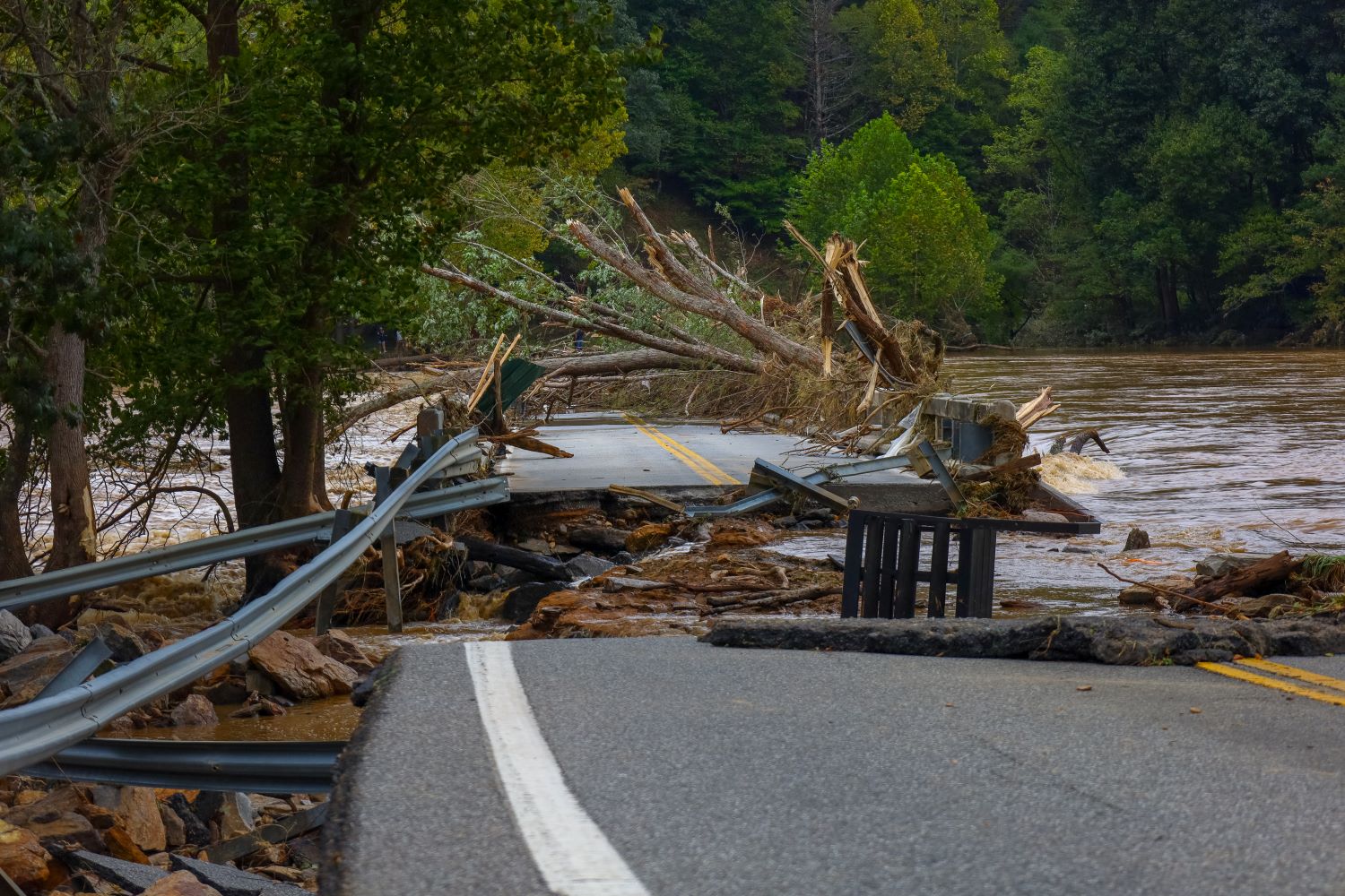 natural disaster preparedness